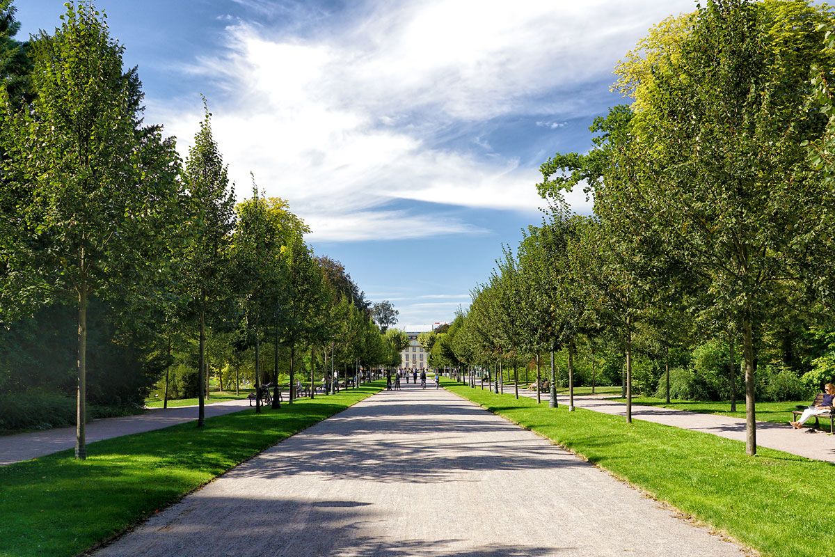 Photo of an alley in the parc de l'Orangerie