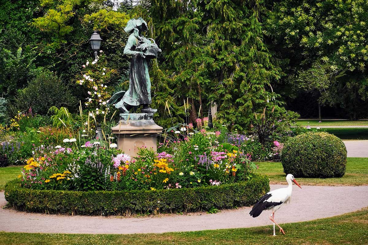 Where Can Storks Be Seen in Strasbourg, France ?