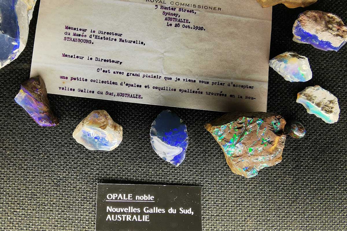 The Strasbourg Mineralogy Museum: a surprising visit