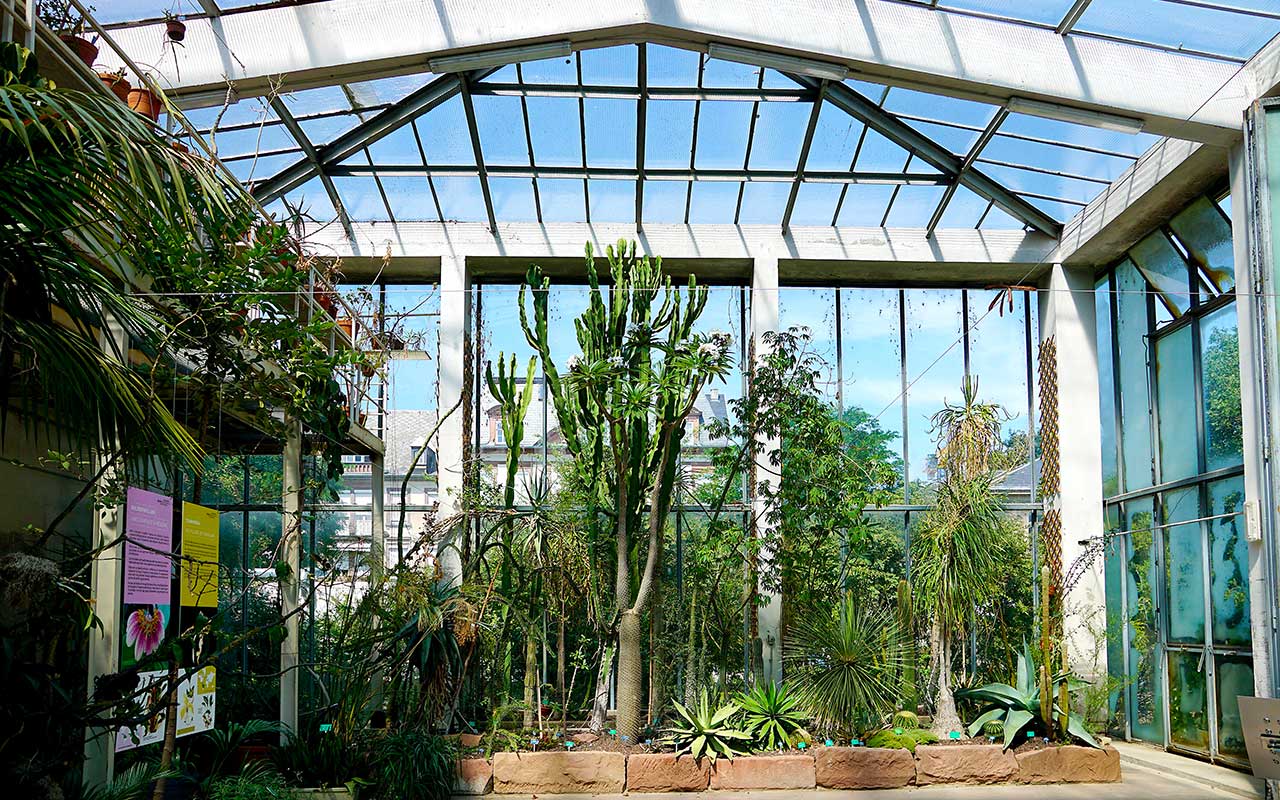 tropical greenhouse at Strasbourg's Botanical Gardens