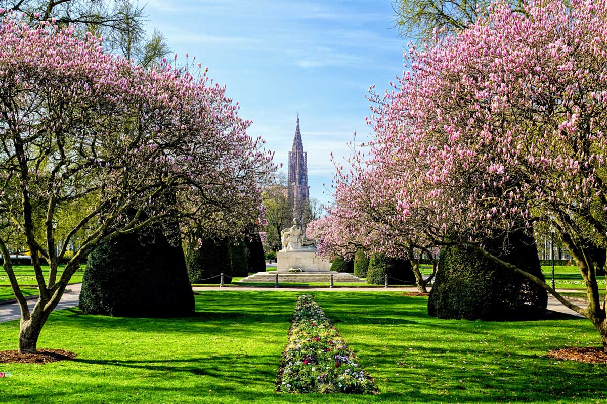 Strasbourg in spring: 9 cool things to do